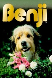 Benji